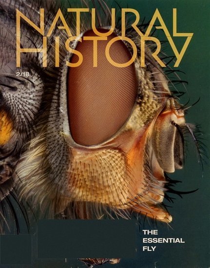 Natural History Magazine