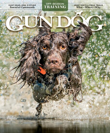 Gun Dog Magazine