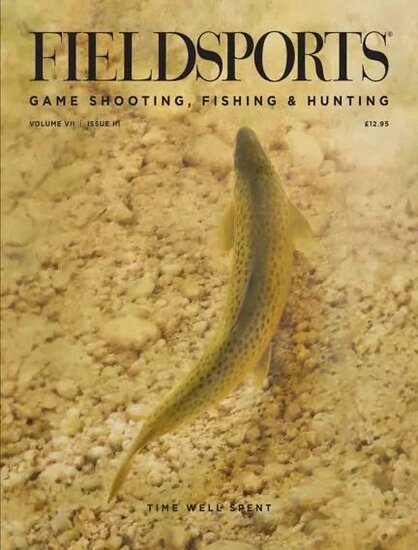 Fieldsports Magazine