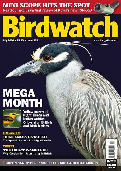 Birdwatch Magazine