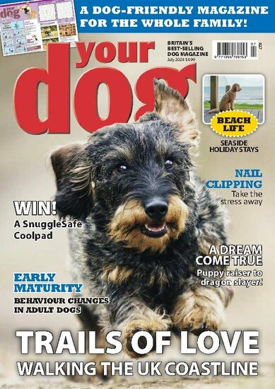 Your Dog Magazine