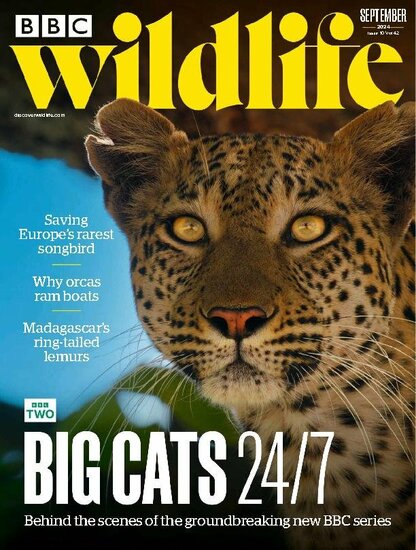 BBC Wildlife Magazine