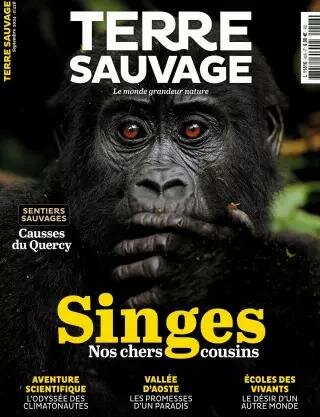 Terre Sauvage