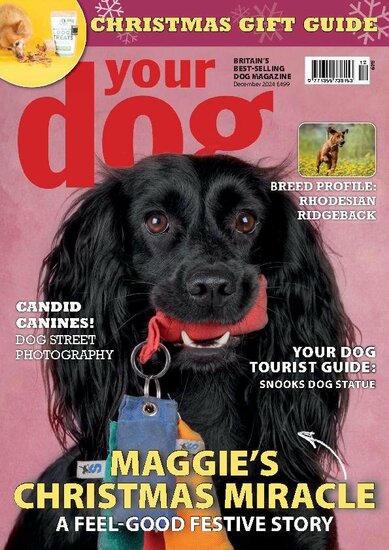 Your Dog Magazine