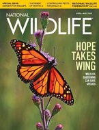 National Wildlife Magazine