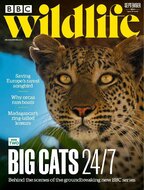 BBC Wildlife Magazine