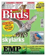 Cage &amp; Aviary Birds Magazine