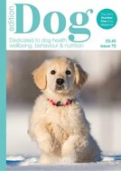 Edition Dog Magazine